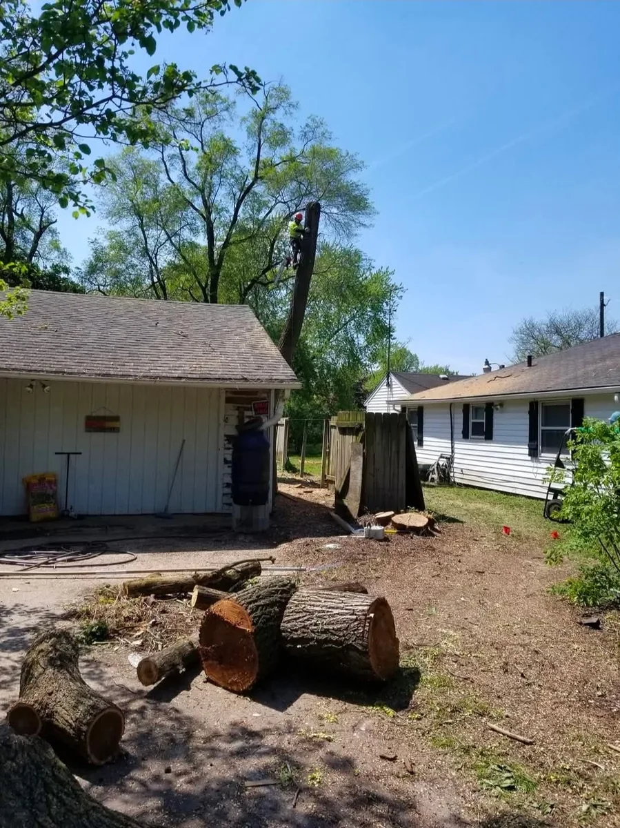 Damaged tree section removal