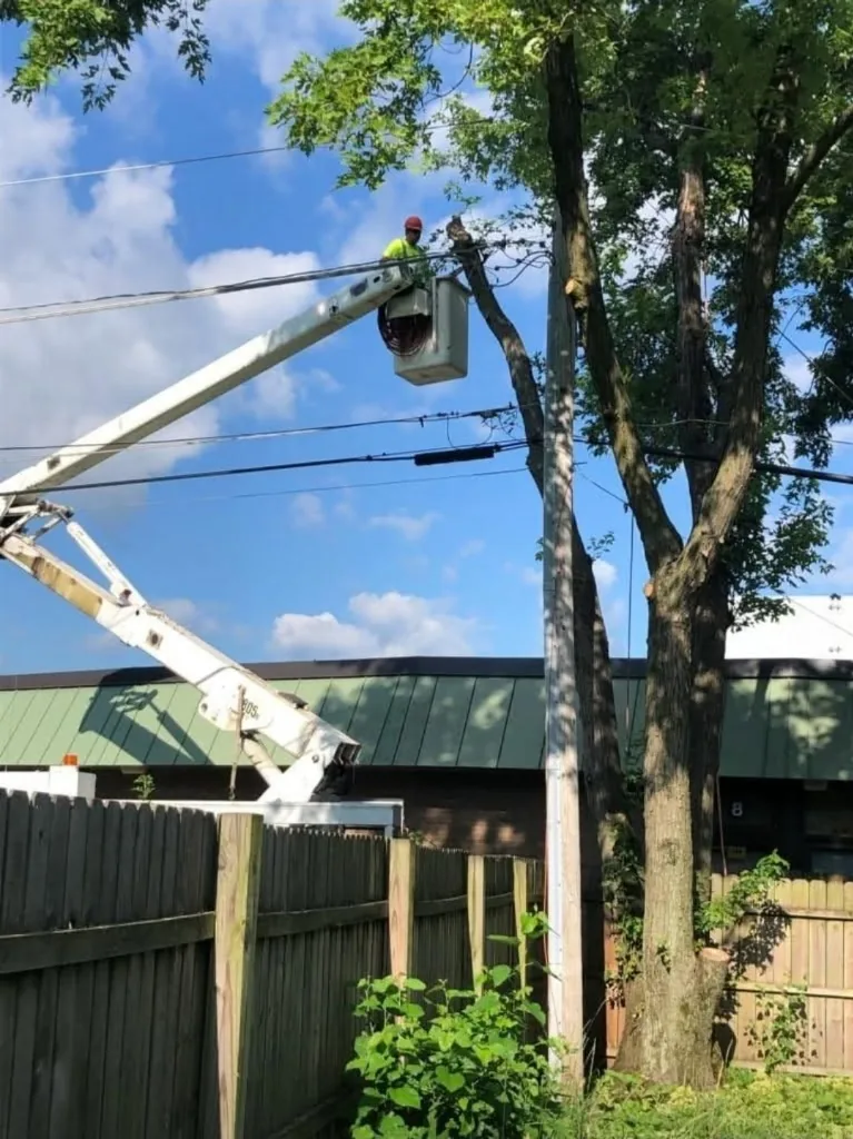 Tree worker performing elevated tree work from a bucket