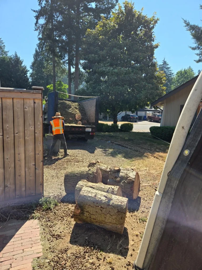 Tree care crew and truck on a residential work site during tree maintenance