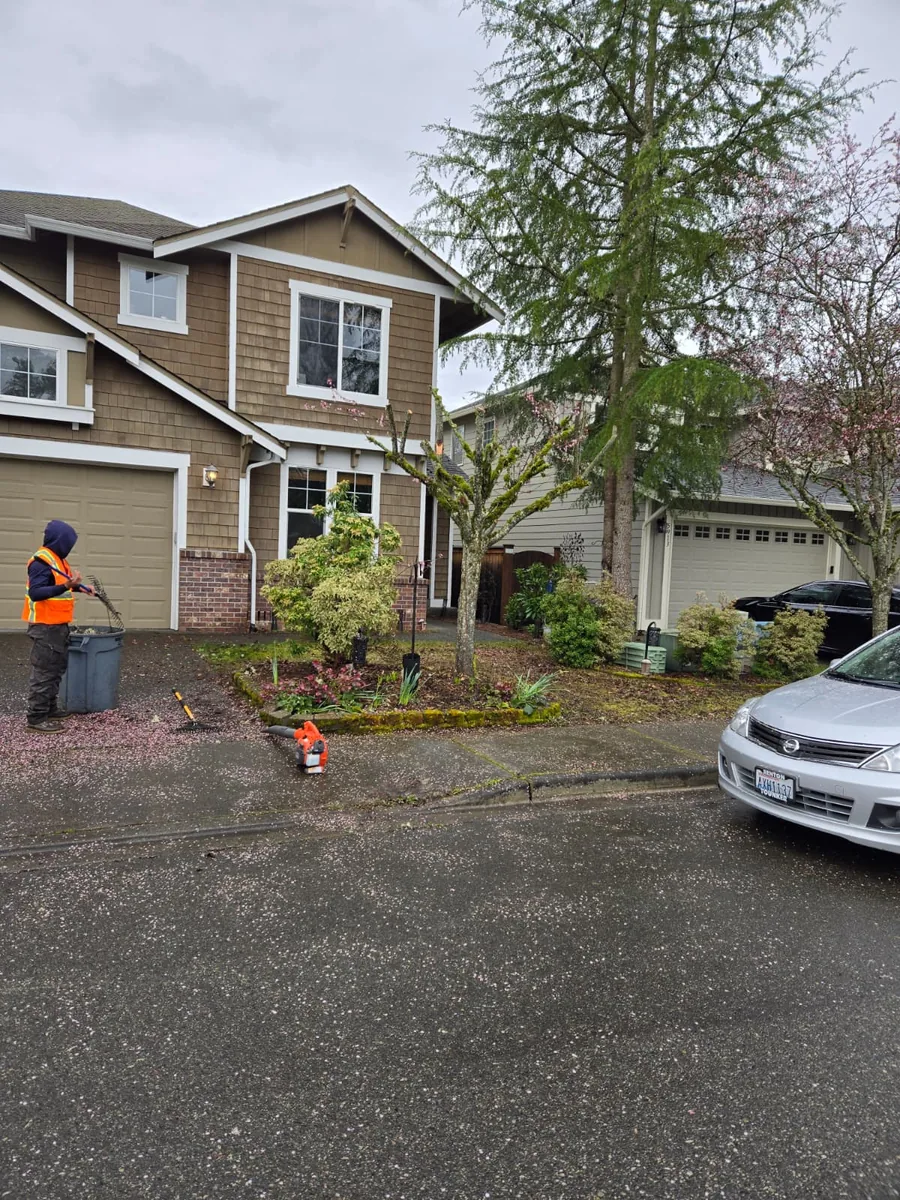 Residential tree maintenance and branch cleanup