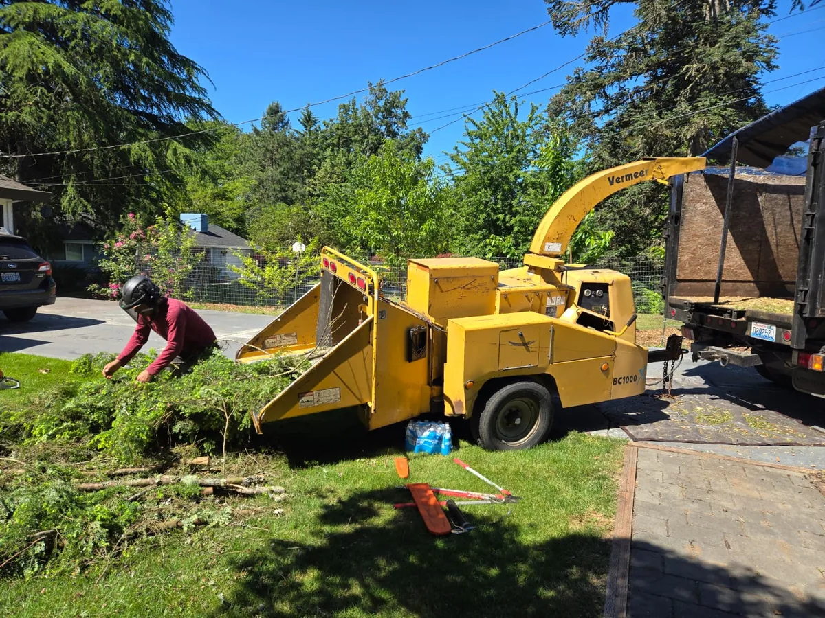 Wood chipping and branch processing